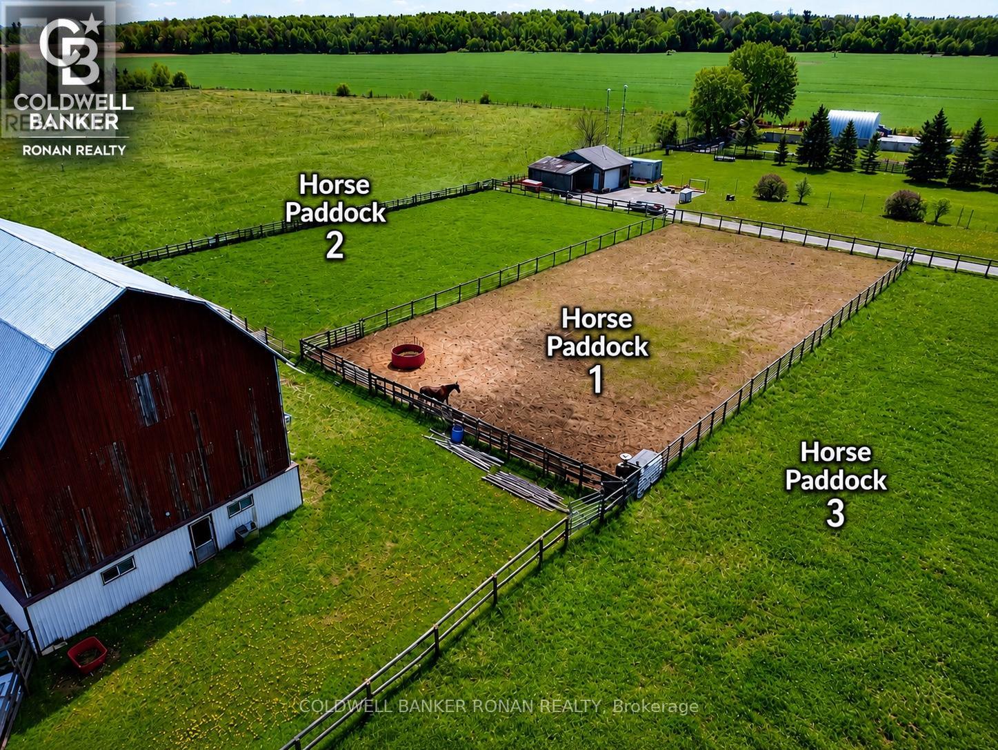 6703 Pine Plains Road E, Adjala-Tosorontio, Ontario  L0M 1J0 - Photo 7 - N13208862