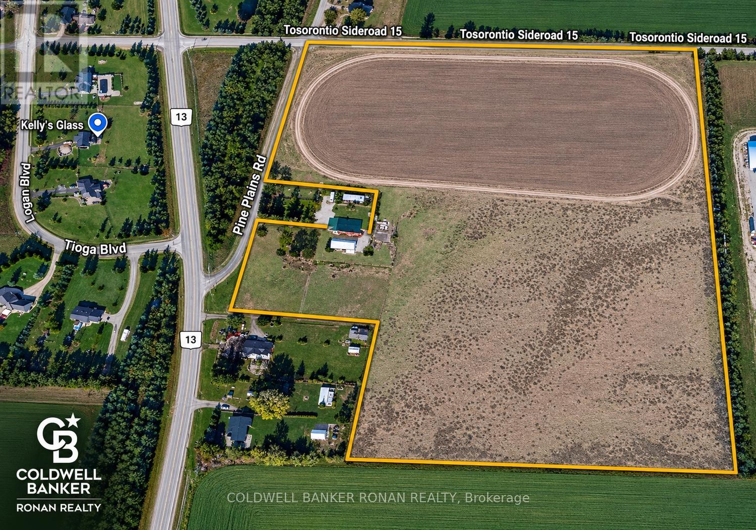6703 Pine Plains Road E, Adjala-Tosorontio, Ontario  L0M 1J0 - Photo 9 - N13208862