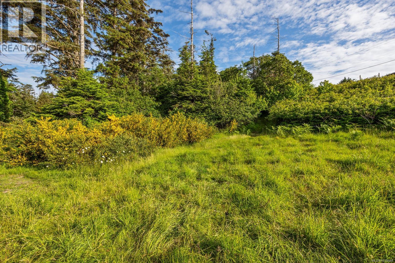 348 Lazo Rd, Comox, British Columbia  V9M 3T9 - Photo 21 - 1038444