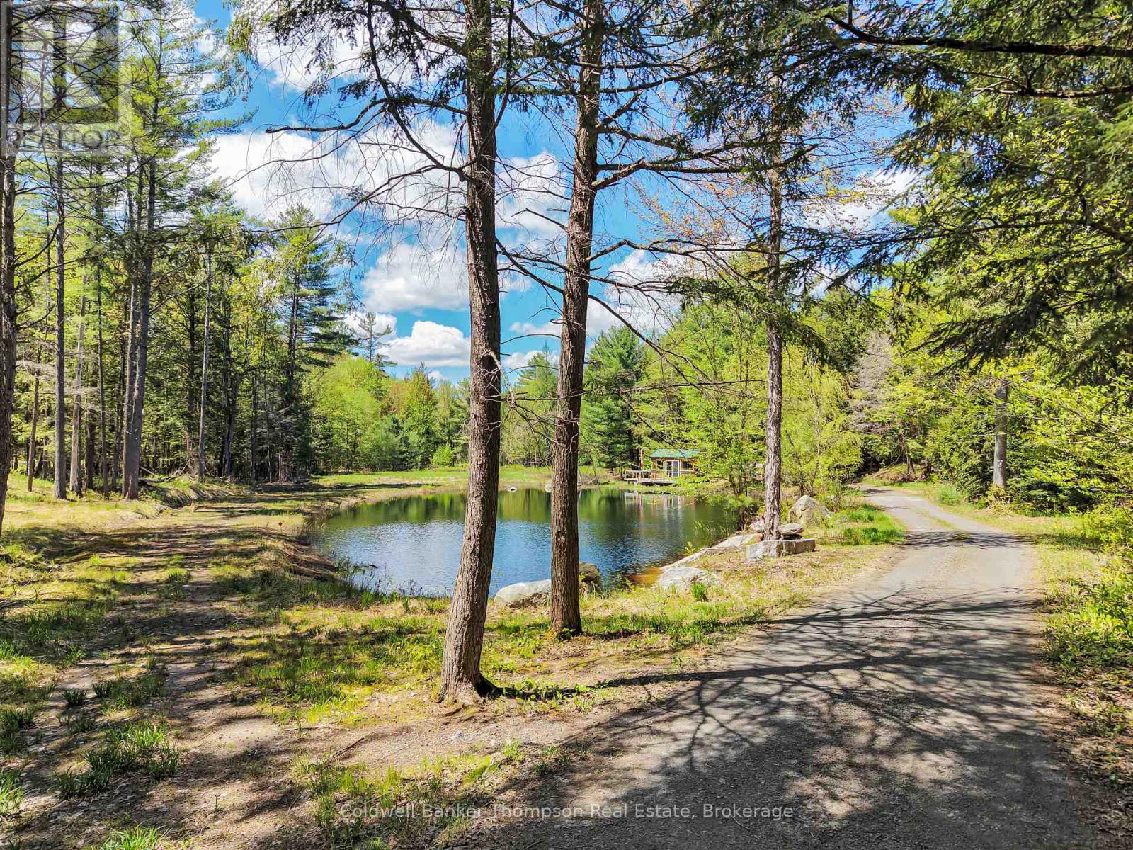 50 & 100 Tower Road, Huntsville, Ontario  P1H 2J2 - Photo 36 - X13208908