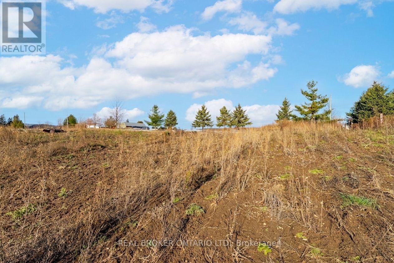 6449 12 13 Side Road, Clearview, Ontario  L0M 1N0 - Photo 28 - S12562460