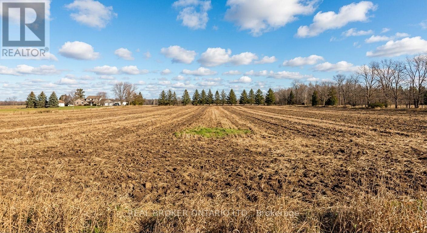 6449 12 13 Side Road, Clearview, Ontario  L0M 1N0 - Photo 25 - S12562460