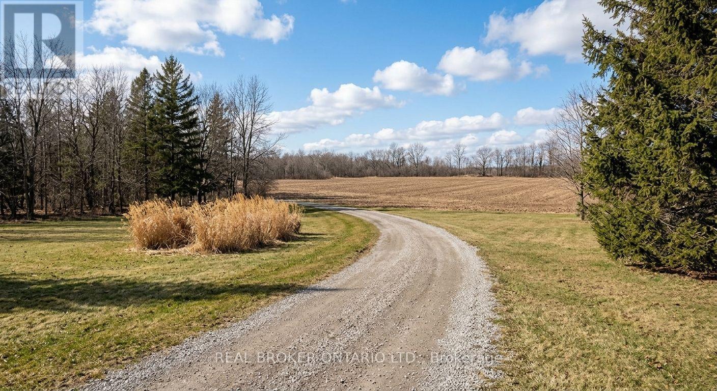 6449 12 13 Side Road, Clearview, Ontario  L0M 1N0 - Photo 19 - S12562460