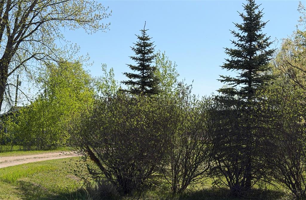 46093 40 Road E Road, Ste Anne Rm, Manitoba  R5H 1R2 - Photo 32 - 202610294