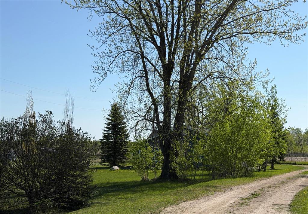 46093 40 Road E Road, Ste Anne Rm, Manitoba  R5H 1R2 - Photo 2 - 202610294