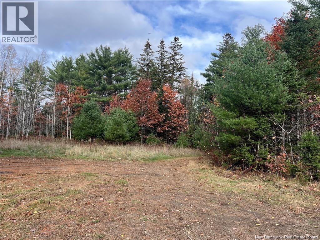 1 Hall Road, Mohannes, New Brunswick  E3L 5V8 - Photo 10 - NB140598