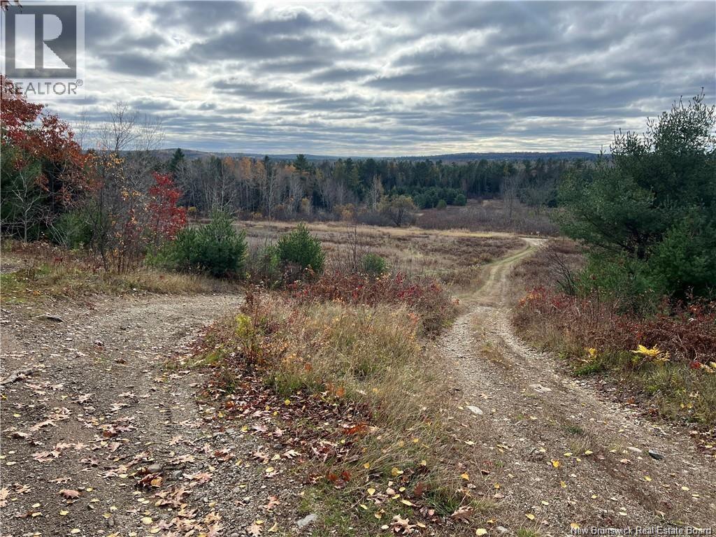 1 Hall Road, Mohannes, New Brunswick  E3L 5V8 - Photo 11 - NB140598
