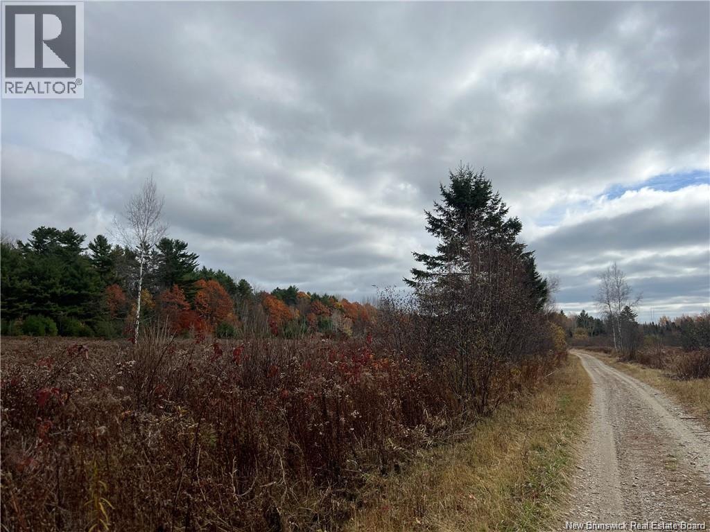 1 Hall Road, Mohannes, New Brunswick  E3L 5V8 - Photo 4 - NB140598