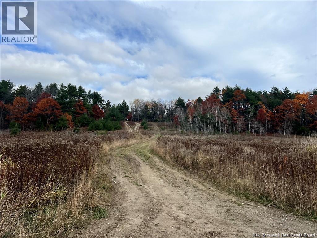 1 Hall Road, Mohannes, New Brunswick  E3L 5V8 - Photo 5 - NB140598