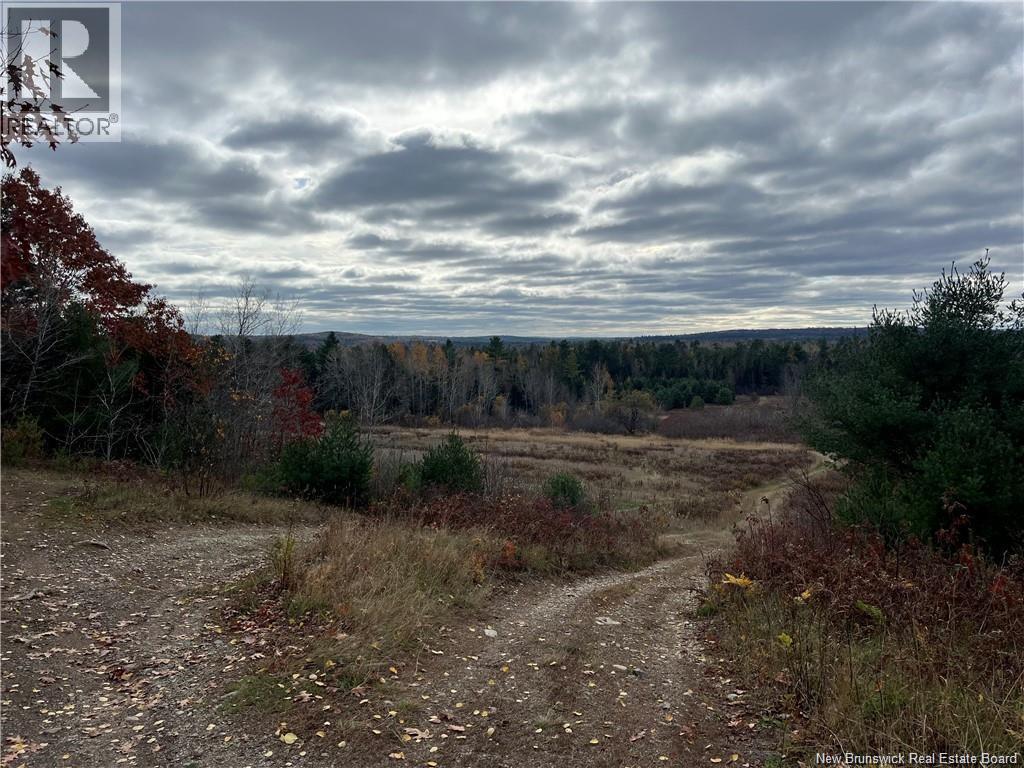 1 Hall Road, Mohannes, New Brunswick  E3L 5V8 - Photo 6 - NB140598