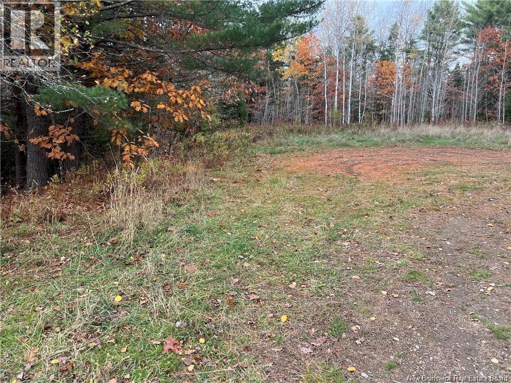 1 Hall Road, Mohannes, New Brunswick  E3L 5V8 - Photo 8 - NB140598