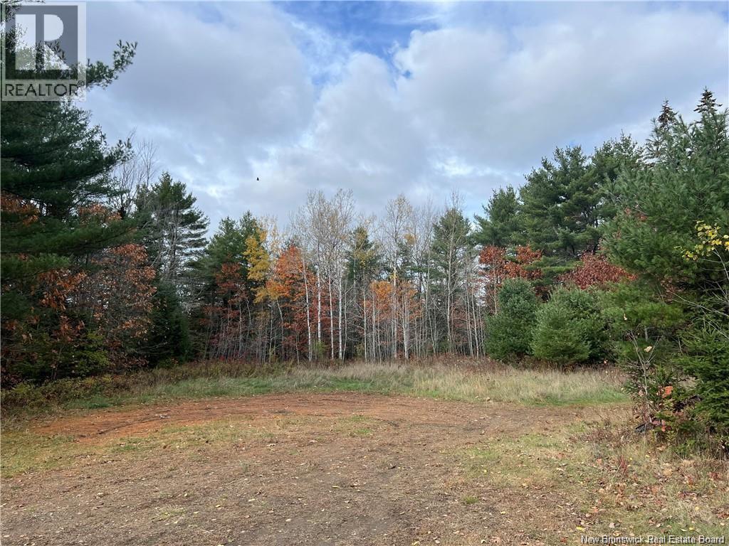 1 Hall Road, Mohannes, New Brunswick  E3L 5V8 - Photo 9 - NB140598