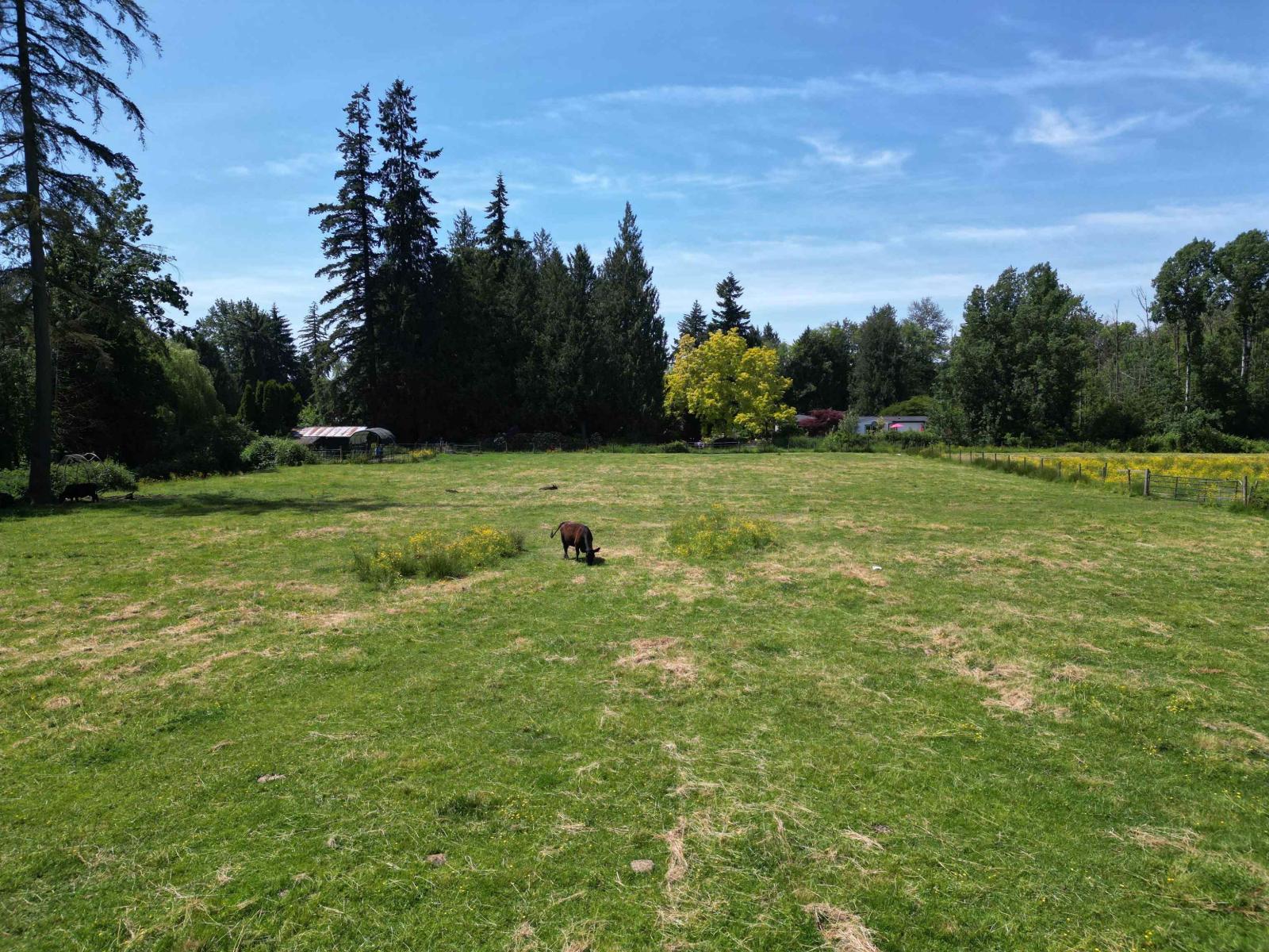 22828 38 Avenue, Langley, British Columbia  V2Z 2G9 - Photo 35 - R3097940