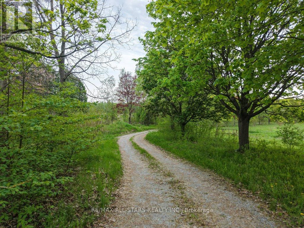 1269 Concession 3 Road, Uxbridge, Ontario  L0C 1A0 - Photo 34 - N13209168