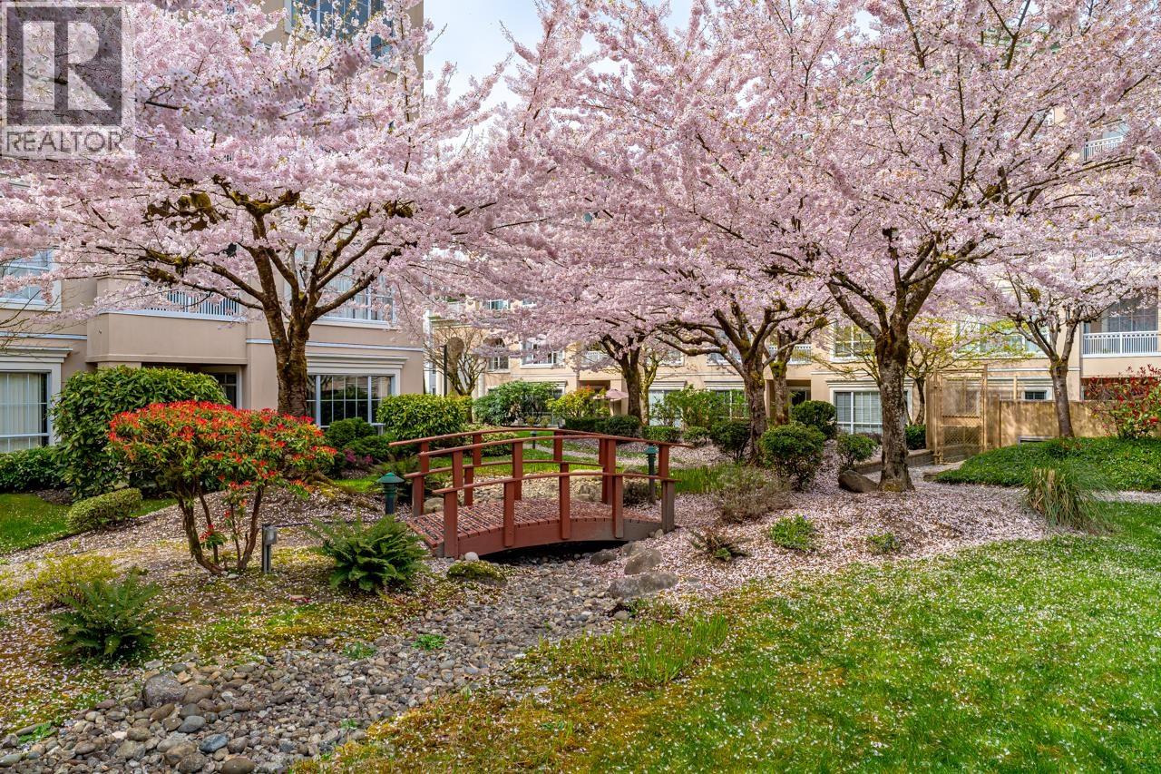 219 2985 Princess Crescent, Coquitlam, British Columbia  V3B 7P3 - Photo 31 - R3129179