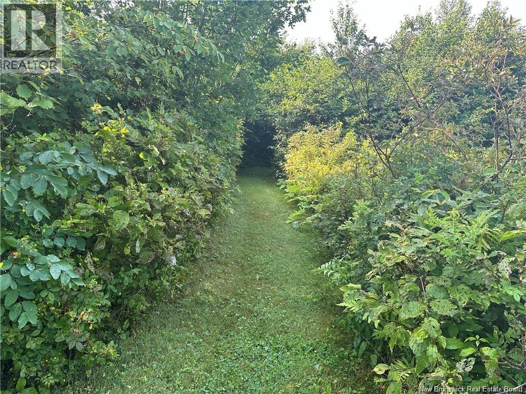 966 Route 710, Codys, New Brunswick  E4C 0A2 - Photo 39 - NB140437