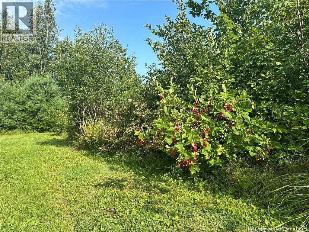 966 Route 710, Codys, New Brunswick  E4C 0A2 - Photo 40 - NB140437