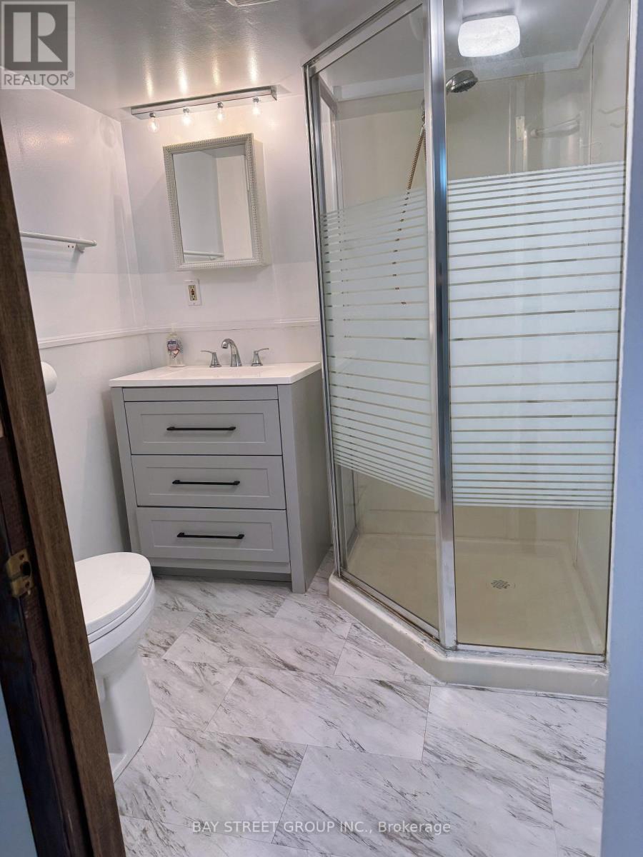 Basement - 390 Roehampton Avenue, Toronto, Ontario  M4P 1S4 - Photo 11 - C13209528