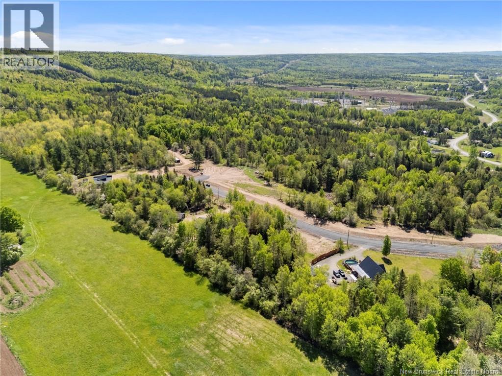 Lot 20142 Moose Trail, Burtts Corner, New Brunswick  O0O 0O0 - Photo 6 - NB140316