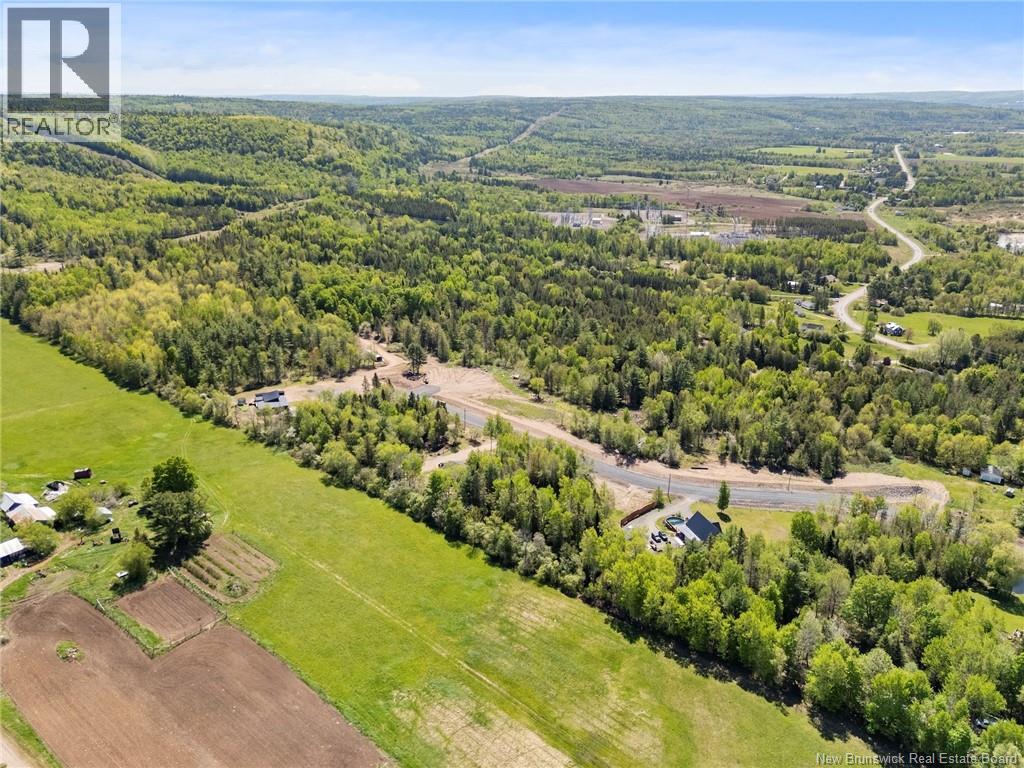 Lot 20142 Moose Trail, Burtts Corner, New Brunswick  O0O 0O0 - Photo 11 - NB140316
