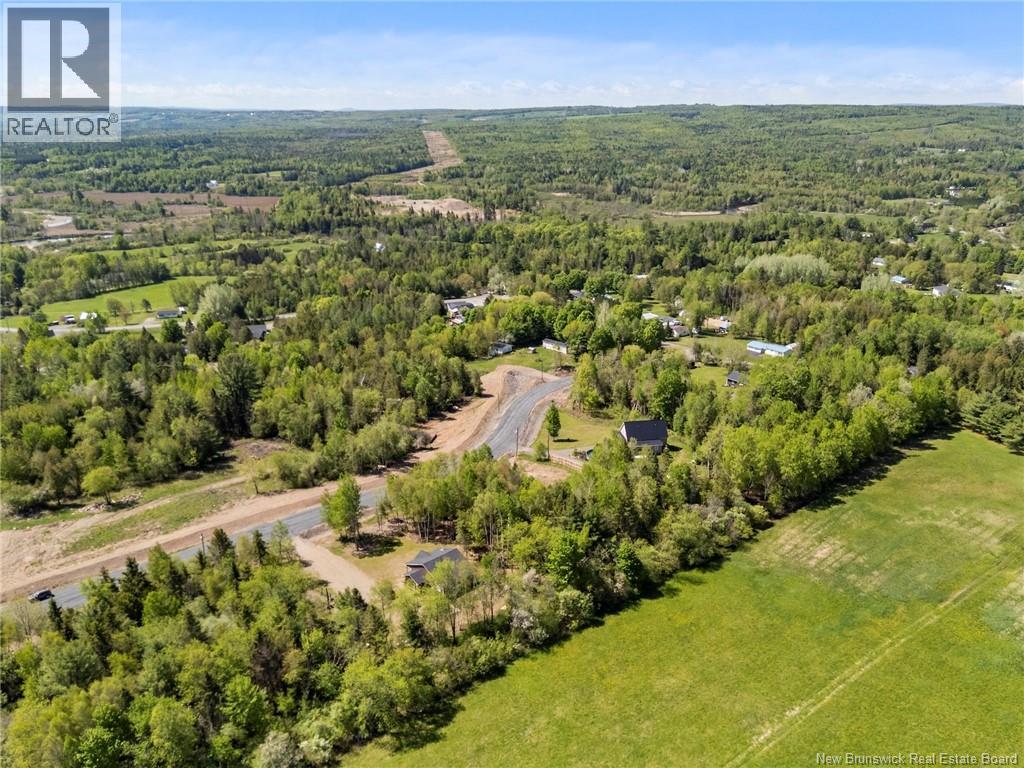 Lot 20142 Moose Trail, Burtts Corner, New Brunswick  O0O 0O0 - Photo 7 - NB140316