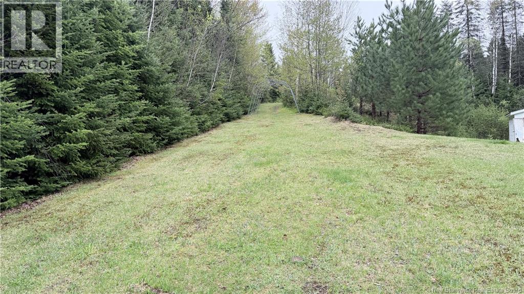 357 De La Grande Riviere Road, Saint-Léonard, New Brunswick  E7E 2K3 - Photo 26 - NB140522