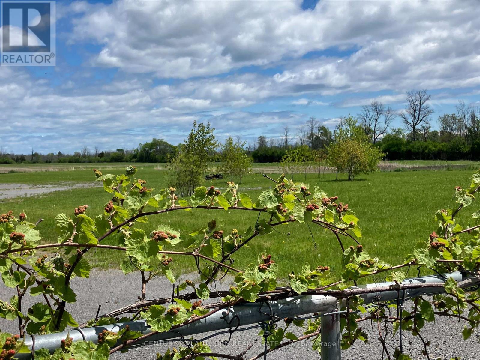 3425 County Rd 10 Road, Prince Edward County, Ontario  K0K 2P0 - Photo 2 - X12328032