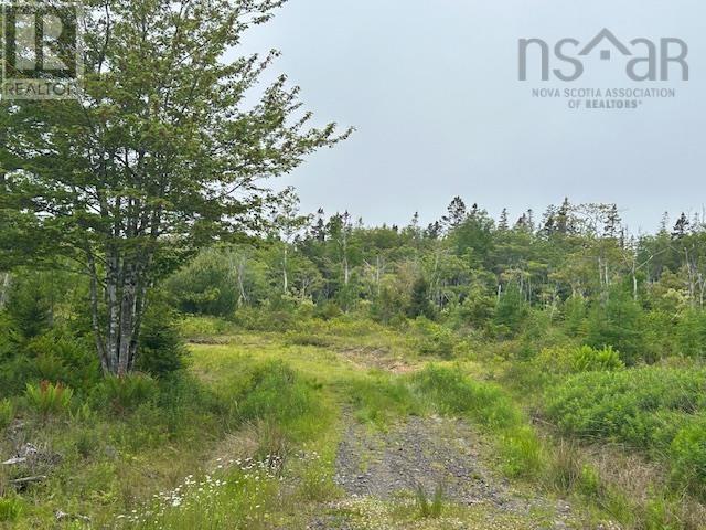 Lot 7 Bay Street, French Cove, Nova Scotia