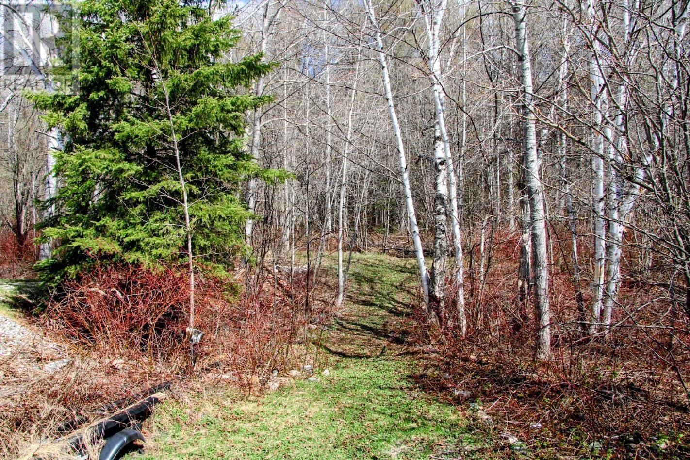 50 Otter Ave, Manitouwadge, Ontario  P0T 2C0 - Photo 39 - TB2601216