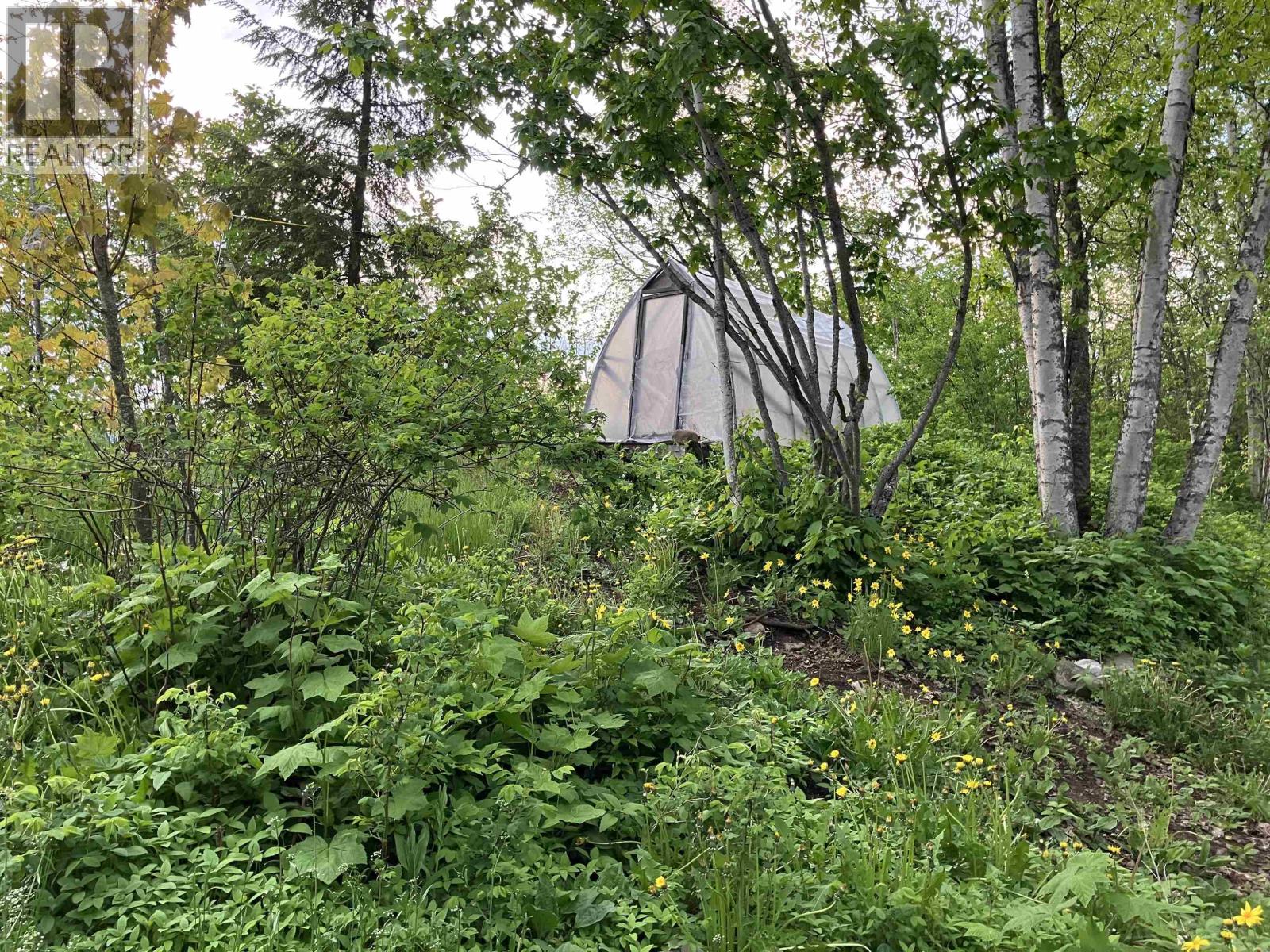 55 Chappel Road, Hazelton, British Columbia  V0J 2J1 - Photo 17 - R3128814