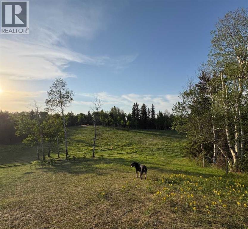 10, 2168 587 Highway, Rural Red Deer County, Alberta  T0M 0K0 - Photo 37 - A2312110