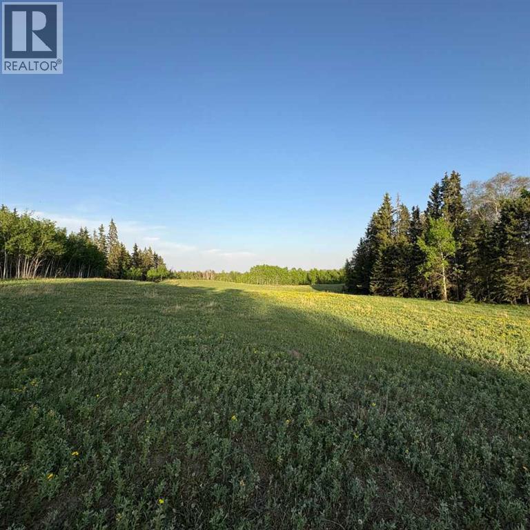 10, 2168 587 Highway, Rural Red Deer County, Alberta  T0M 0K0 - Photo 38 - A2312110