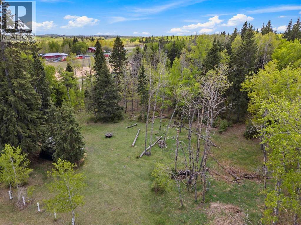 10, 2168 587 Highway, Rural Red Deer County, Alberta  T0M 0K0 - Photo 25 - A2312110