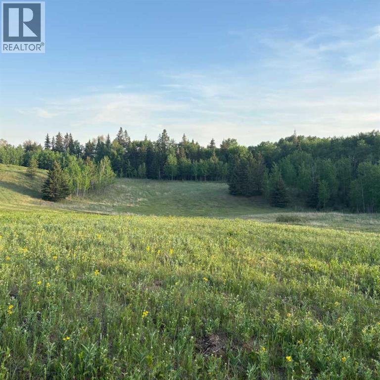 10, 2168 587 Highway, Rural Red Deer County, Alberta  T0M 0K0 - Photo 33 - A2312110