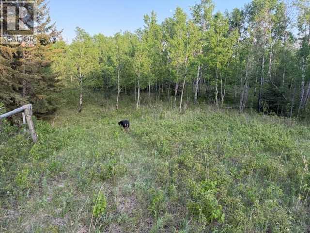 10, 2168 587 Highway, Rural Red Deer County, Alberta  T0M 0K0 - Photo 29 - A2312110