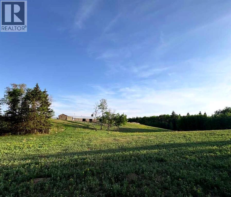 10, 2168 587 Highway, Rural Red Deer County, Alberta  T0M 0K0 - Photo 41 - A2312110
