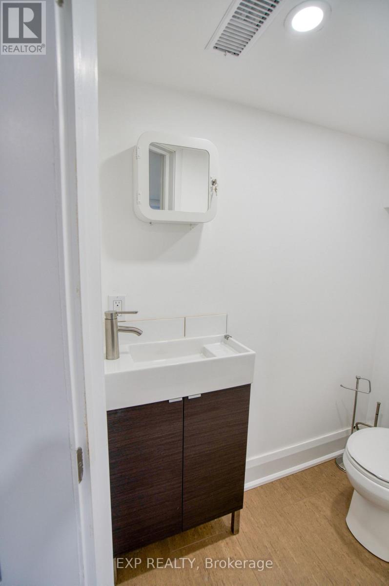22 Mount Pleasant Avenue, Ottawa, Ontario  K1S 0L8 - Photo 39 - X13209844