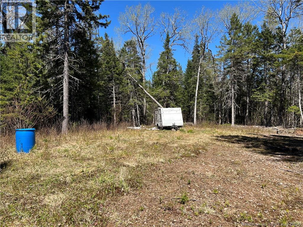 0 Route 880 Road, Head Of Millstream, New Brunswick E4G 1A2 - Photo 15 - NB140411