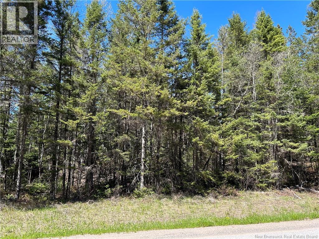 0 Route 880 Road, Head Of Millstream, New Brunswick E4G 1A2 - Photo 3 - NB140411