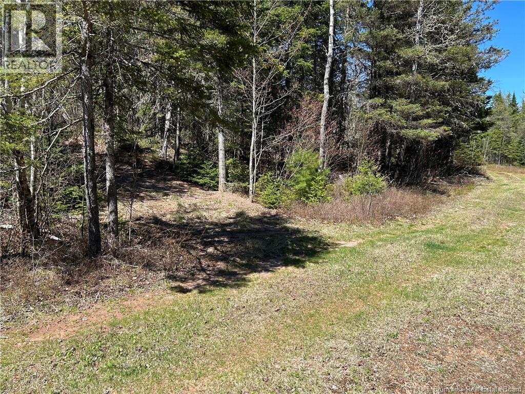 0 Route 880 Road, Head Of Millstream, New Brunswick E4G 1A2 - Photo 6 - NB140411