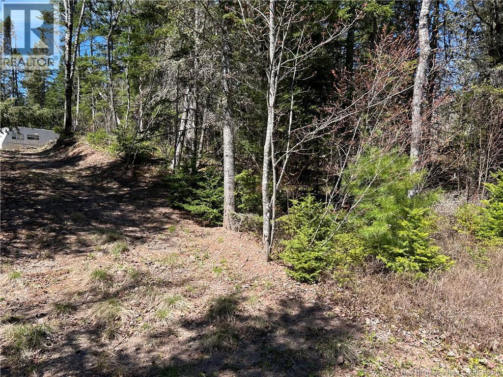 0 Route 880 Road, Head Of Millstream, New Brunswick E4G 1A2 - Photo 10 - NB140411
