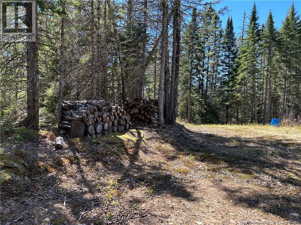 0 Route 880 Road, Head Of Millstream, New Brunswick E4G 1A2 - Photo 16 - NB140411