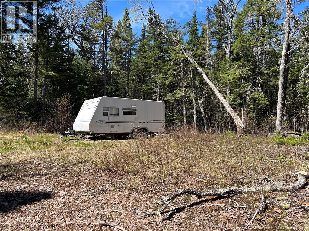 0 Route 880 Road, Head Of Millstream, New Brunswick E4G 1A2 - Photo 7 - NB140411