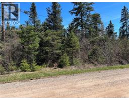 0 Route 880 Road, Head Of Millstream, New Brunswick