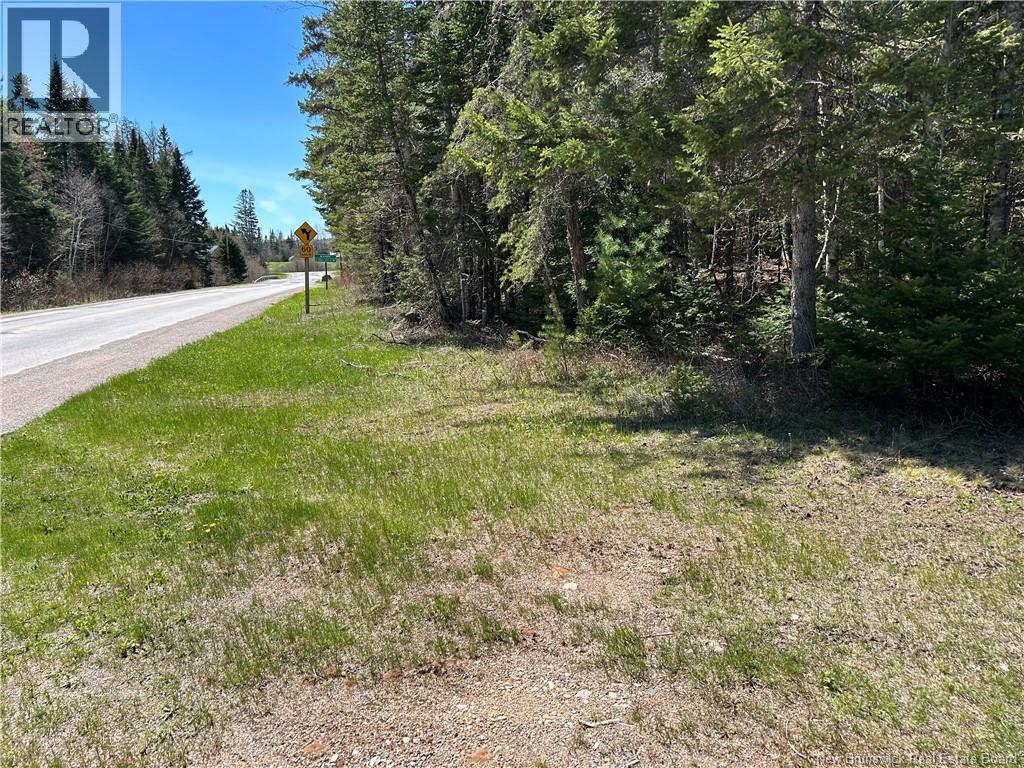 0 Route 880 Road, Head Of Millstream, New Brunswick E4G 1A2 - Photo 13 - NB140411