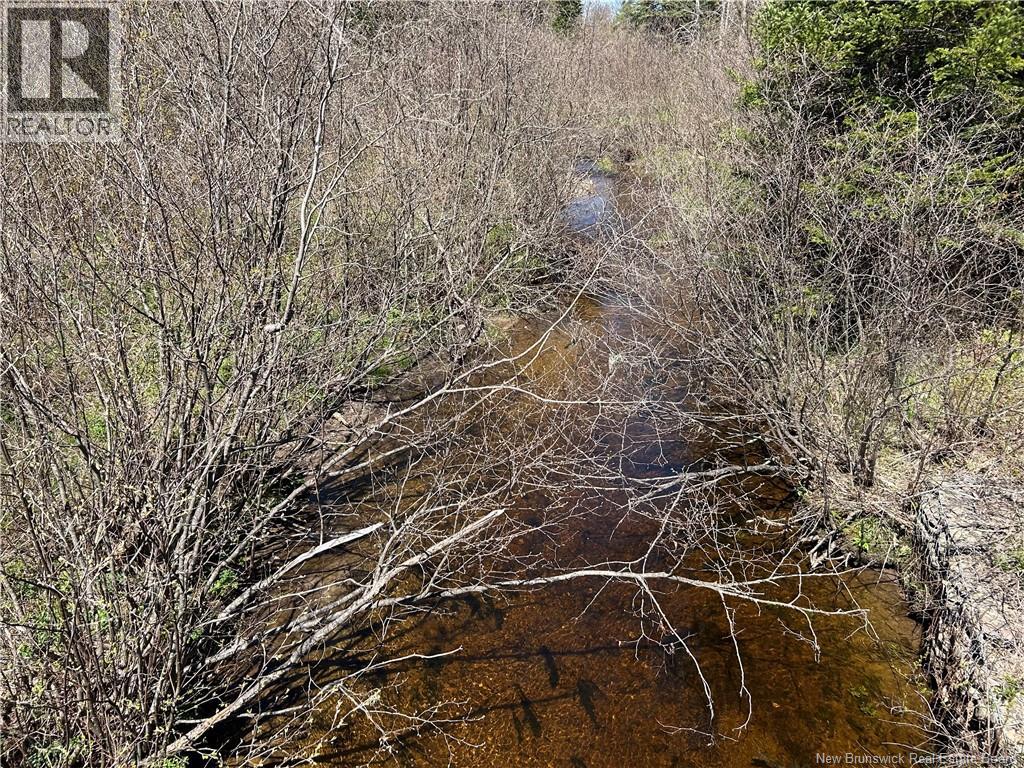 0 Route 880 Road, Head Of Millstream, New Brunswick E4G 1A2 - Photo 11 - NB140411