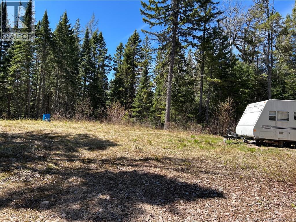 0 Route 880 Road, Head Of Millstream, New Brunswick E4G 1A2 - Photo 4 - NB140411
