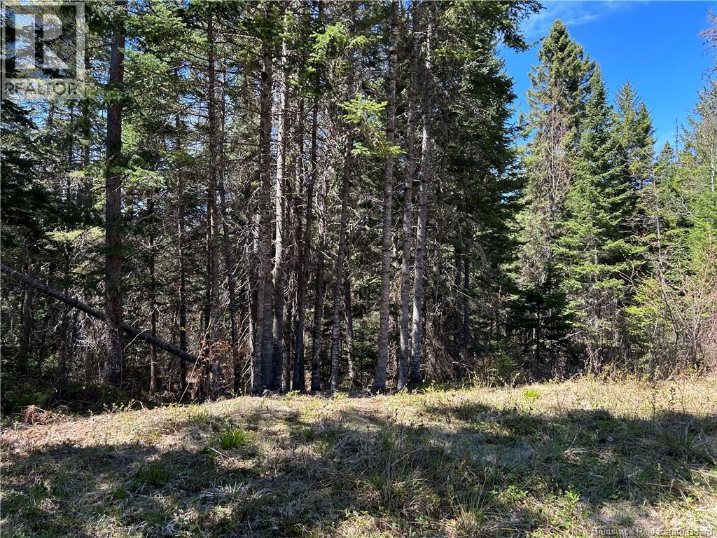 0 Route 880 Road, Head Of Millstream, New Brunswick E4G 1A2 - Photo 14 - NB140411