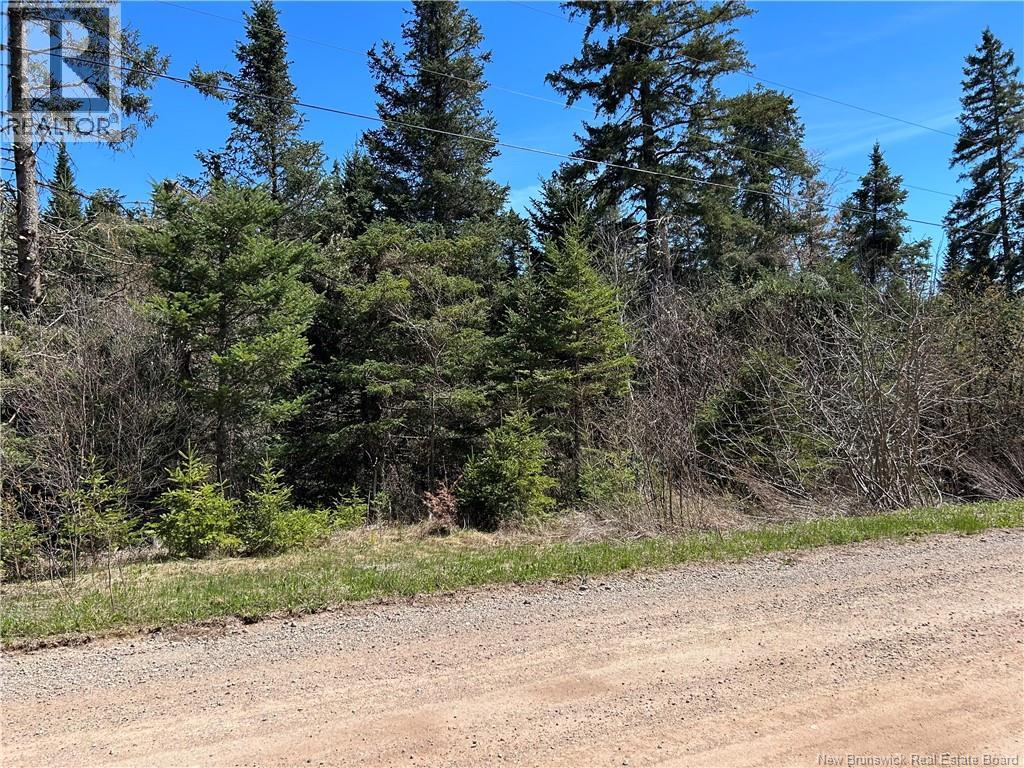 0 Route 880 Road, Head Of Millstream, New Brunswick E4G 1A2 - Photo 8 - NB140411
