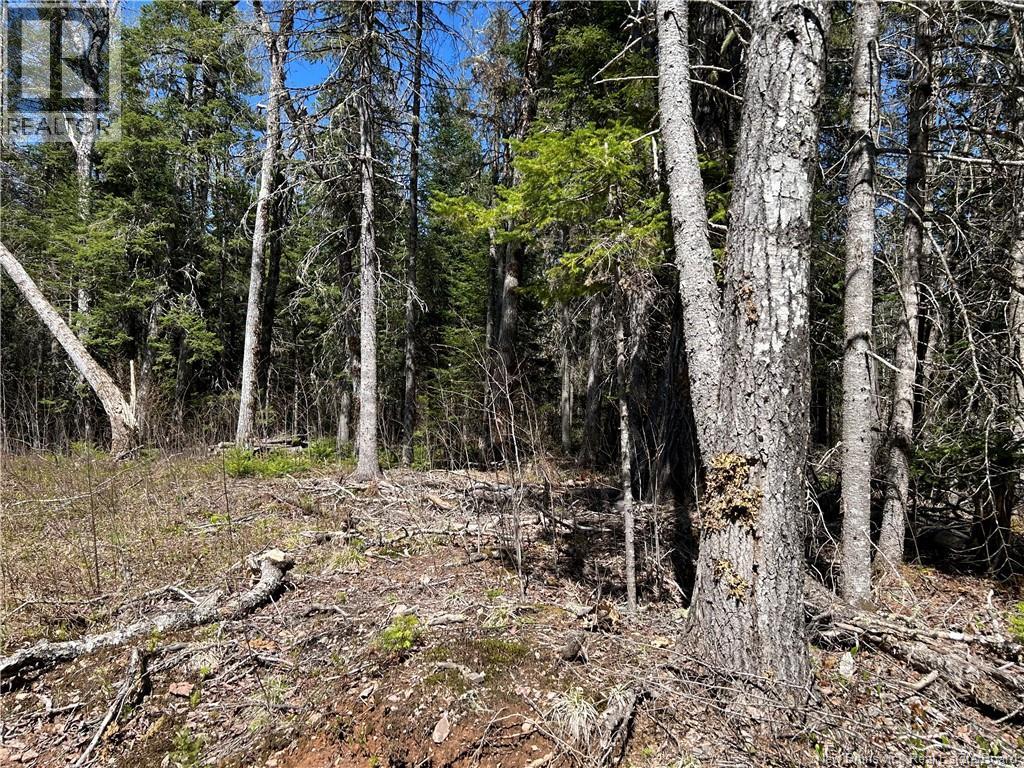 0 Route 880 Road, Head Of Millstream, New Brunswick E4G 1A2 - Photo 5 - NB140411